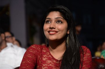 Ulavacharu Biryani Audio Launch